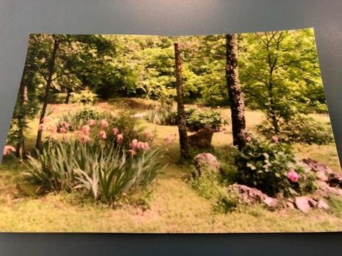 975 County Road 220, Eureka Springs, AR 72631