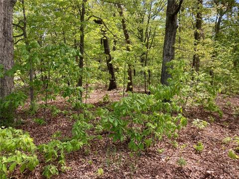 Haddington Drive, Bella Vista, AR 72715