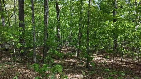 Lockerbie Drive, Bella Vista, AR 72715