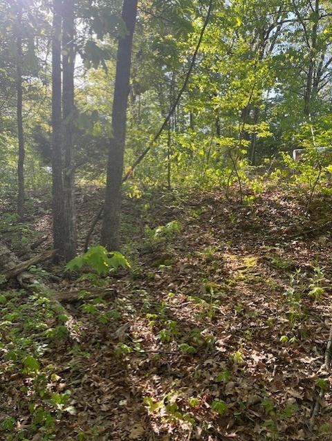 Juletta Circle, Bella Vista, AR 72715