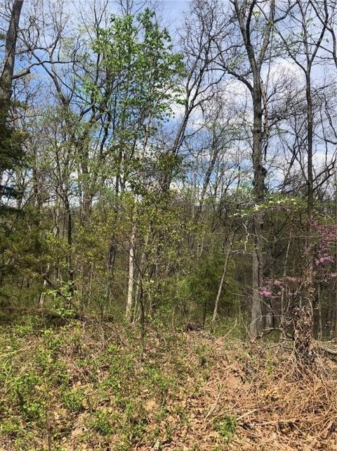 Taunton Lane, Bella Vista, AR 72715