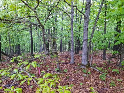 Milburn, Bella Vista, AR 72715