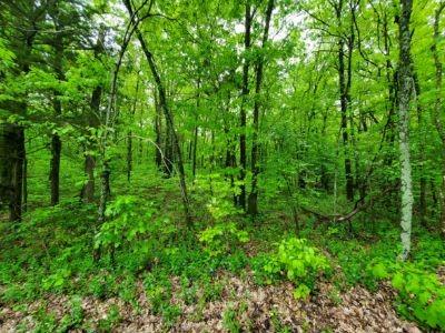 Tbd Suncrest, Prairie Grove, AR 72753