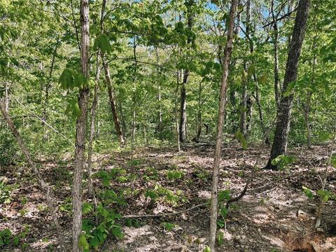Ridgewell Lane, Bella Vista, AR 72715