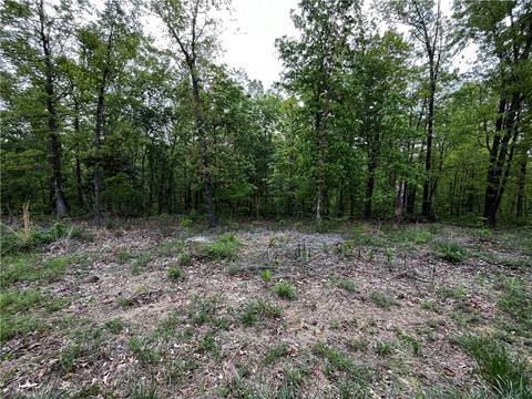 4 Islay Circle, Bella Vista, AR 72715