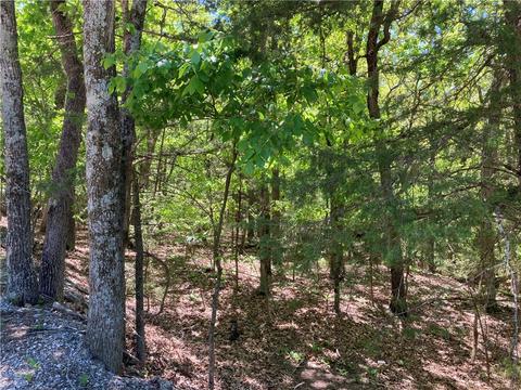 Lot 87 Oak Leaf Drive, Rogers, AR 72732 photo 4