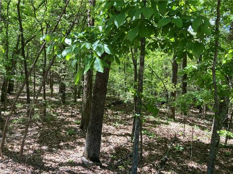 Lot 87 Oak Leaf Drive, Rogers, AR 72732 photo 2