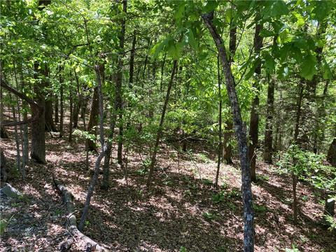 Lot 87 Oak Leaf Drive, Rogers, AR 72732 photo 3