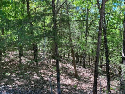 Lot 87 Oak Leaf Drive, Rogers, AR 72732 photo 5