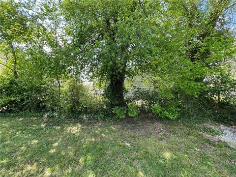 107 Cass Ave, Exeter, MO 65647 photo 40