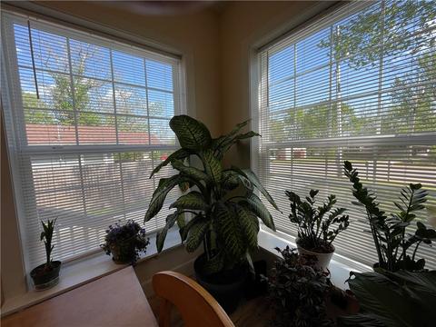 107 Cass Ave, Exeter, MO 65647 photo 15