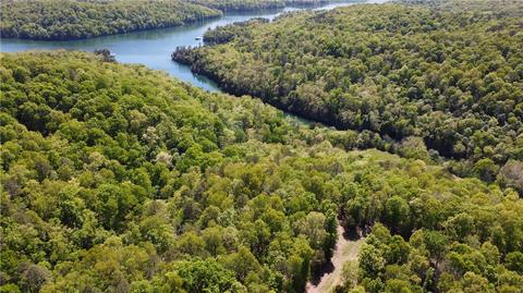 8363 Mule Lot Rd, Rogers, AR 72756