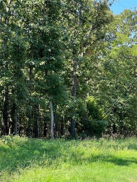 3 94ac E 340 Ln, Jay, OK 74346