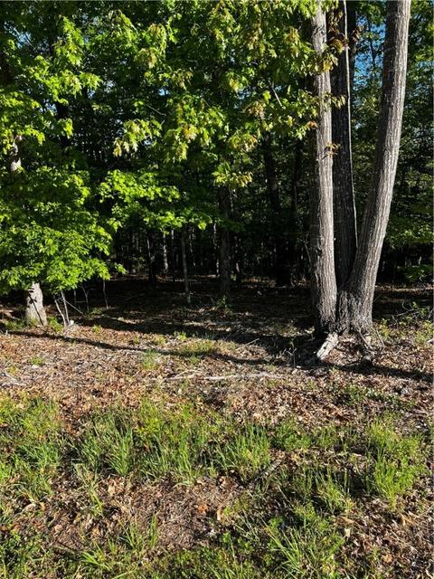 Westbury Drive, Bella Vista, AR 72714