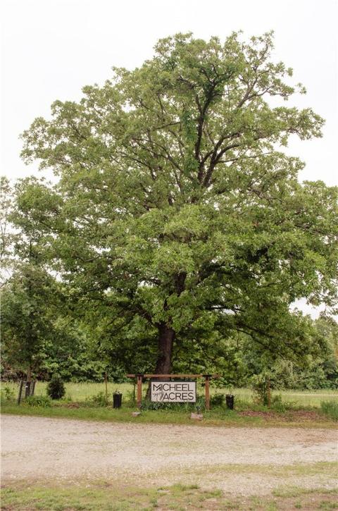 12948 E Reams Rd, Gentry, AR 72734 photo 6