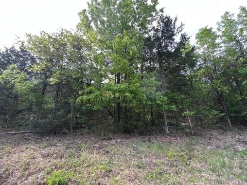 12 Sunset Ln, Holiday Island, AR 72631