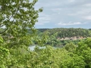 22552 War Eagle Rd, Springdale, AR 72764 photo 3