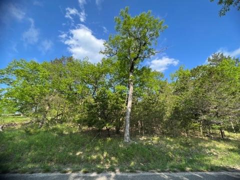 78 Narrows Dr, Holiday Island, AR 72631