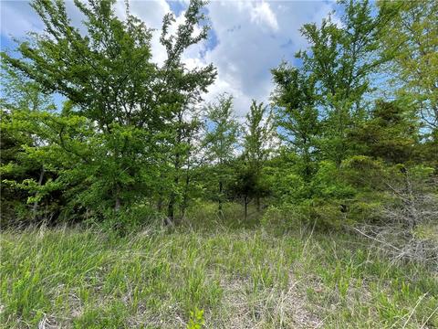 Posy Mountain Drive, Rogers, AR 72732
