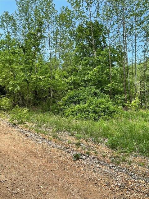 Arabian Drive, Rogers, AR 72756