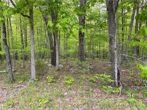 3038 Madison 5445, Combs, AR 72721 photo 34