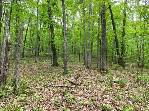 3038 Madison 5445, Combs, AR 72721 photo 30