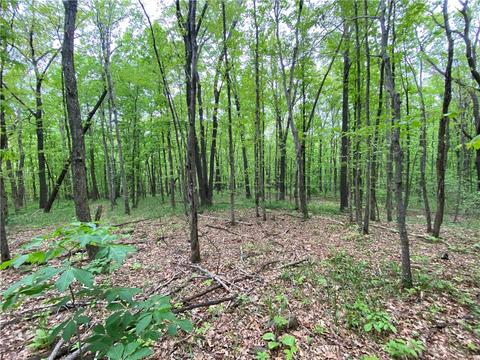 3038 Madison 5445, Combs, AR 72721 photo 43