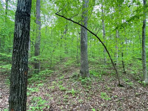 3038 Madison 5445, Combs, AR 72721 photo 29