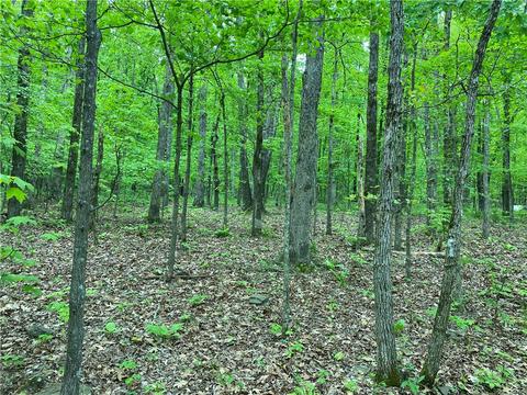 3038 Madison 5445, Combs, AR 72721 photo 33