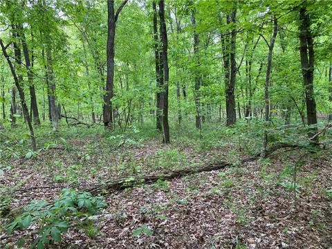 3038 Madison 5445, Combs, AR 72721 photo 42