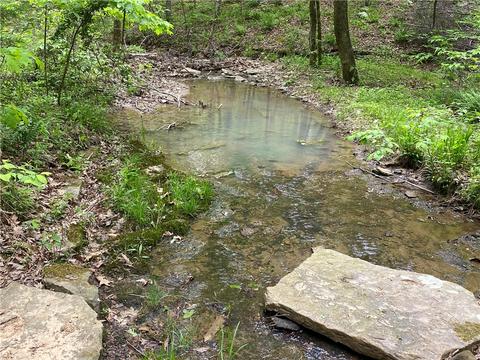 3038 Madison 5445, Combs, AR 72721 photo 28