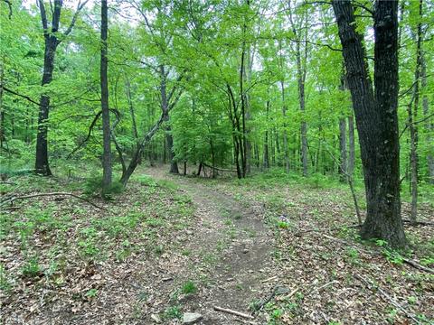 3038 Madison 5445, Combs, AR 72721 photo 32
