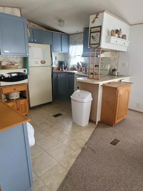 200 Blue Bird Ln, Branson, MO 65616 photo 6