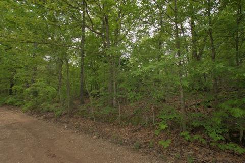100 Aloha Ln, Noel, MO 64854 photo 26