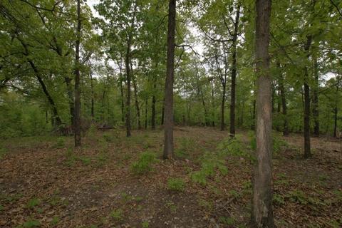 100 Aloha Ln, Noel, MO 64854 photo 33