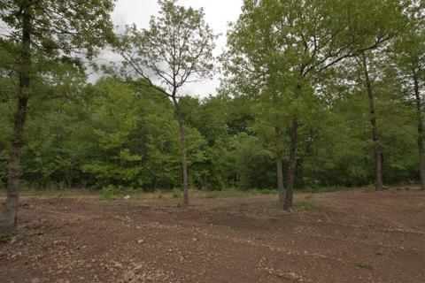 100 Aloha Ln, Noel, MO 64854 photo 20