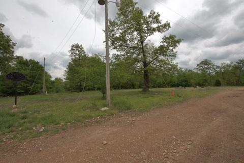100 Aloha Ln, Noel, MO 64854