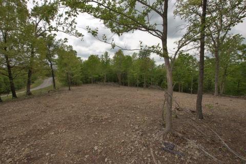 100 Aloha Ln, Noel, MO 64854 photo 7