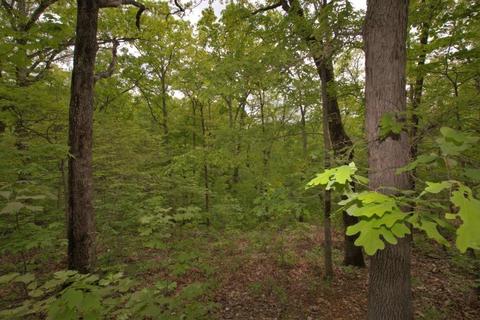 100 Aloha Ln, Noel, MO 64854 photo 38