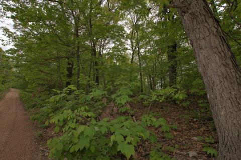 100 Aloha Ln, Noel, MO 64854 photo 30