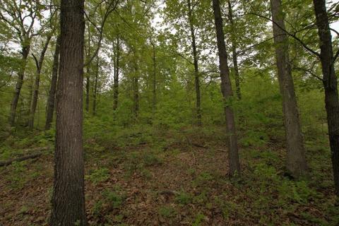 100 Aloha Ln, Noel, MO 64854 photo 41