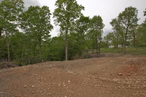 100 Aloha Ln, Noel, MO 64854 photo 15