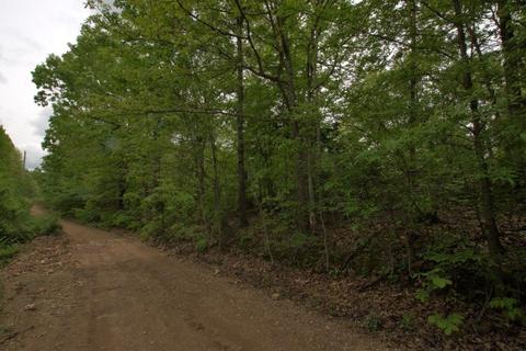 100 Aloha Ln, Noel, MO 64854 photo 27