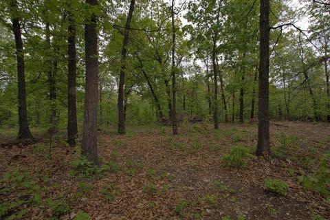 100 Aloha Ln, Noel, MO 64854 photo 34