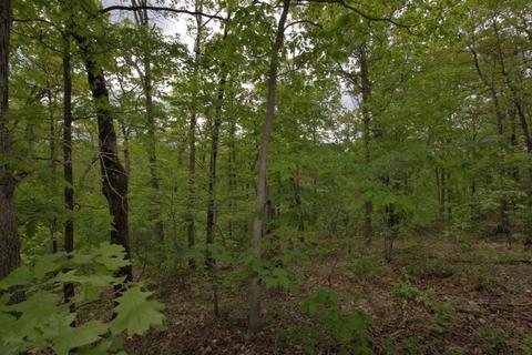 100 Aloha Ln, Noel, MO 64854 photo 39