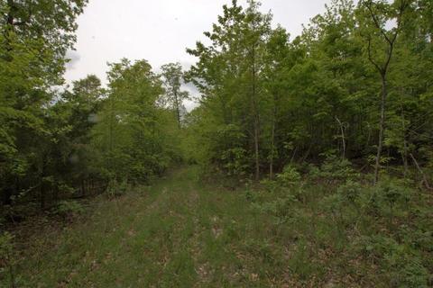 100 Aloha Ln, Noel, MO 64854 photo 36
