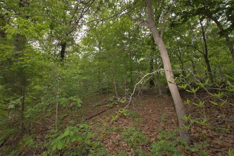 100 Aloha Ln, Noel, MO 64854 photo 28