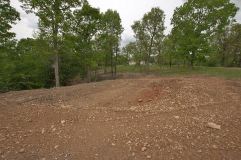 100 Aloha Ln, Noel, MO 64854 photo 14