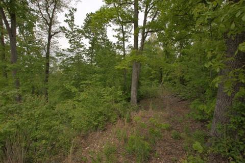 100 Aloha Ln, Noel, MO 64854 photo 45