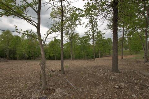 100 Aloha Ln, Noel, MO 64854 photo 8